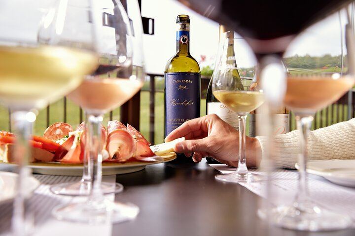 Organic Chianti Classico Farm Tasting: Small-Group Tour on a Terrace Above the Vines (3/12)