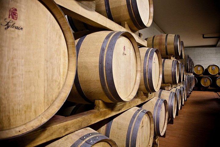 Organic Chianti Classico Farm Tasting: Small-Group Tour on a Terrace Above the Vines (6/12)