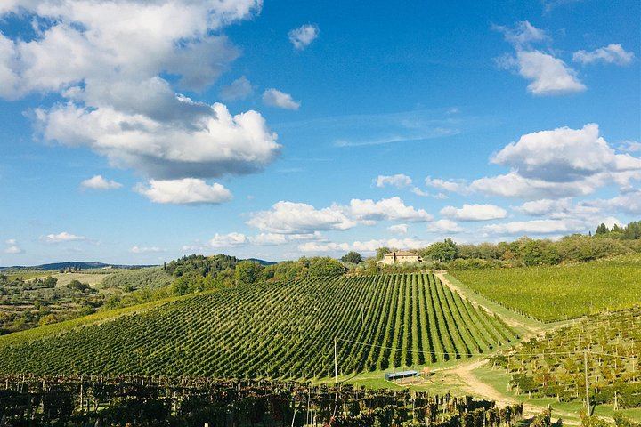 Organic Chianti Classico Farm Tasting: Small-Group Tour on a Terrace Above the Vines (5/12)