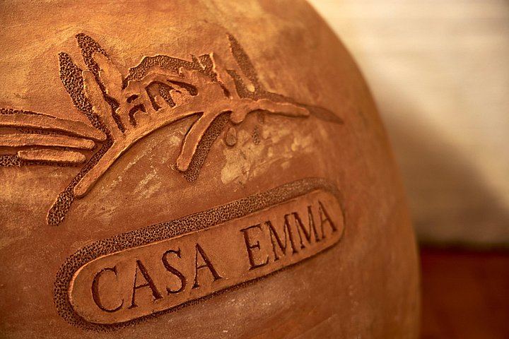 Organic Chianti Classico Farm Tasting: Small-Group Tour on a Terrace Above the Vines (11/12)