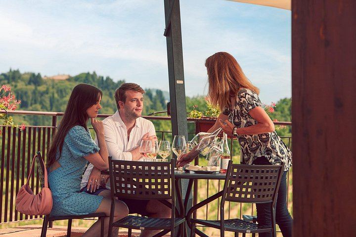 Organic Chianti Classico Farm Tasting: Small-Group Tour on a Terrace Above the Vines (2/12)