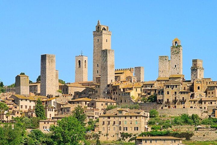 Private Chianti and San Gimignano Day Trip by Minivan with Farm Lunch and Wine Tasting (1/12)