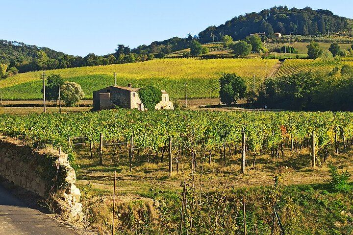 Private Chianti and San Gimignano Day Trip by Minivan with Farm Lunch and Wine Tasting (8/12)