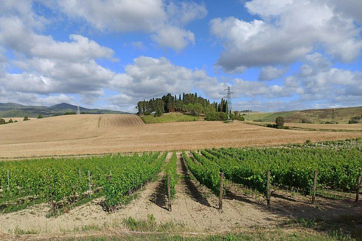 Private Chianti and San Gimignano Day Trip by Minivan with Farm Lunch and Wine Tasting (2/12)