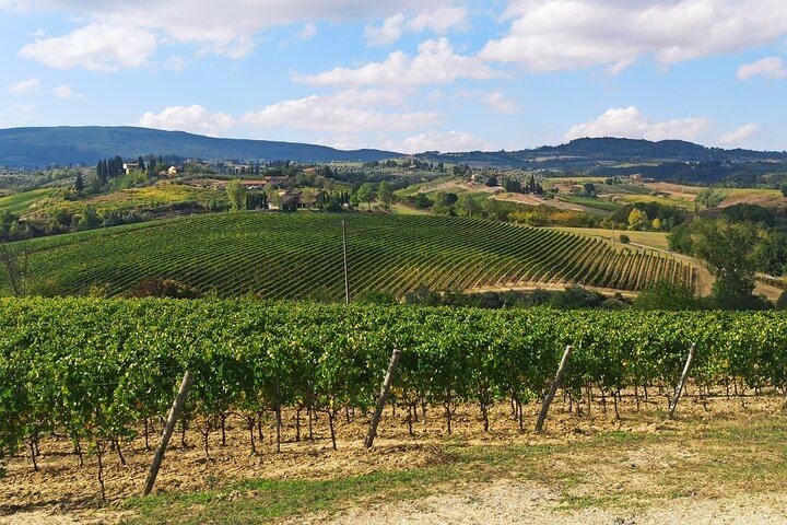Private Chianti and San Gimignano Day Trip by Minivan with Farm Lunch and Wine Tasting (12/12)