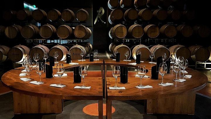 Renacer Winery Experience in Luján de Cuyo: Vineyard Tour, VR and 4-Wine Tasting (2/5)