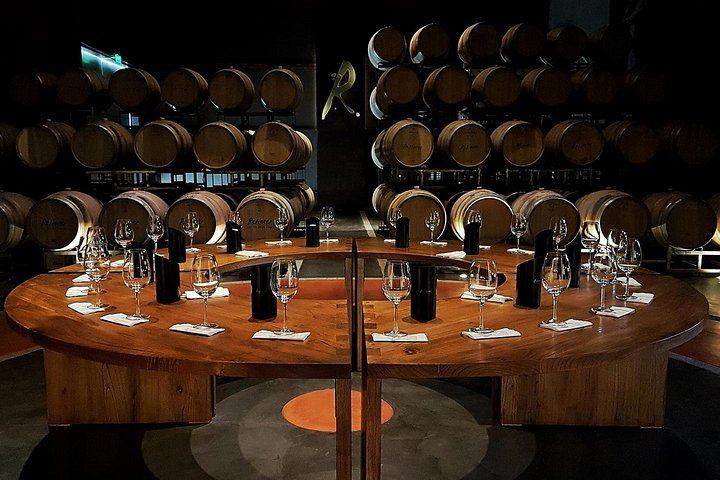 Renacer Winery Experience in Luján de Cuyo: Vineyard Tour, VR and 4-Wine Tasting (2/5)