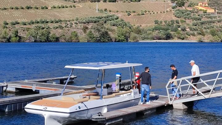 Douro Valley Mercedes Van Day Trip from Porto: Two Family Wineries and Boat Cocktail (3/12)