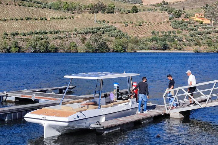 Douro Valley Mercedes Van Day Trip from Porto: Two Family Wineries and Boat Cocktail (3/12)