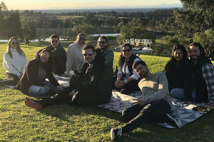 Social Hunter Valley Wine Tour from Sydney: Sobels, 4 Pines Lunch and Vineyard Picnic (7/7)