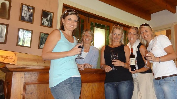 Stellenbosch Small-Group Wine Tour, Max 8 Guests, Changing Daily Route (1/12)