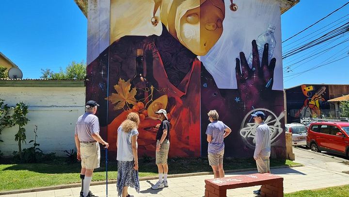 Valparaíso Street Art Downhill Walk and Casablanca Wines, Max 8 Guests from Santiago (2/12)