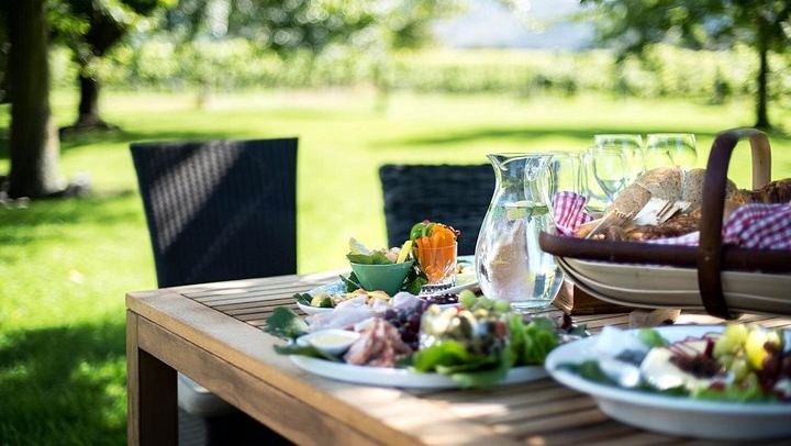 Full-Day Wine Tour from Picton: Several Wineries, Winery Lunch, Pickup (3/5)