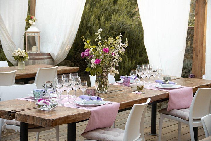 Casa Lucii Organic Winery near San Gimignano: Estate Walk, Vernaccia and Food Pairing (7/10)