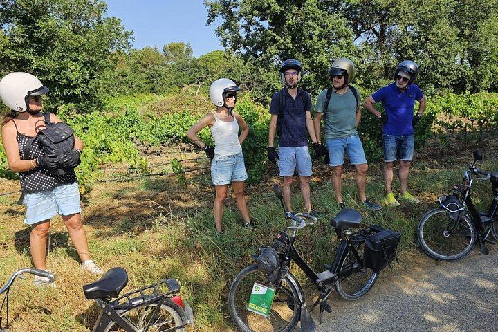 Vintage Solex Ride Through the Vineyards of Domaine des Favards, with Organic Wine Tasting (9/10)