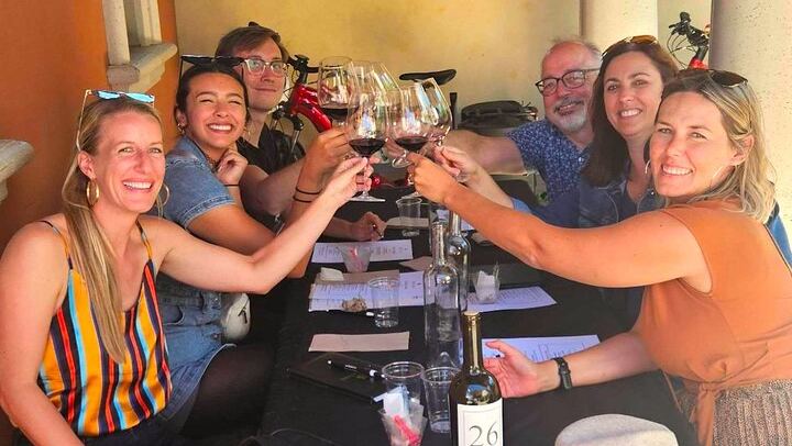 Painted Ladies Vintage VW Bus Sonoma Wine Tour with Wine Cave and Lunch (2/12)