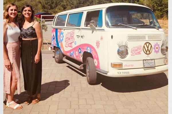 Painted Ladies Vintage VW Bus Sonoma Wine Tour with Wine Cave and Lunch