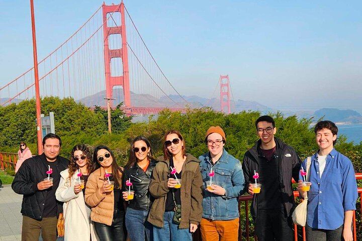 Painted Ladies Vintage VW Bus Sonoma Wine Tour with Wine Cave and Lunch (9/12)