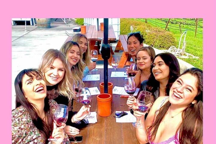 Painted Ladies Vintage VW Bus Sonoma Wine Tour with Wine Cave and Lunch (4/12)