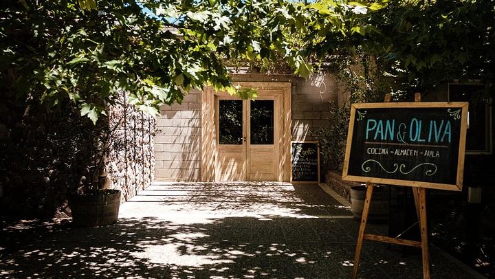 Full-Day Maipú Wine Tour: Trapiche, Santa Julia and Zuelo Olive Oil Lunch (4/12)