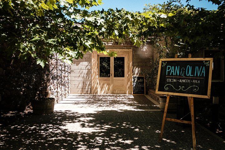 Full-Day Maipú Wine Tour: Trapiche, Santa Julia and Zuelo Olive Oil Lunch (4/12)