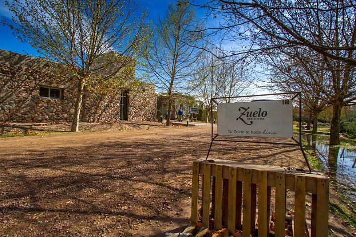 Full-Day Maipú Wine Tour: Trapiche, Santa Julia and Zuelo Olive Oil Lunch (6/12)