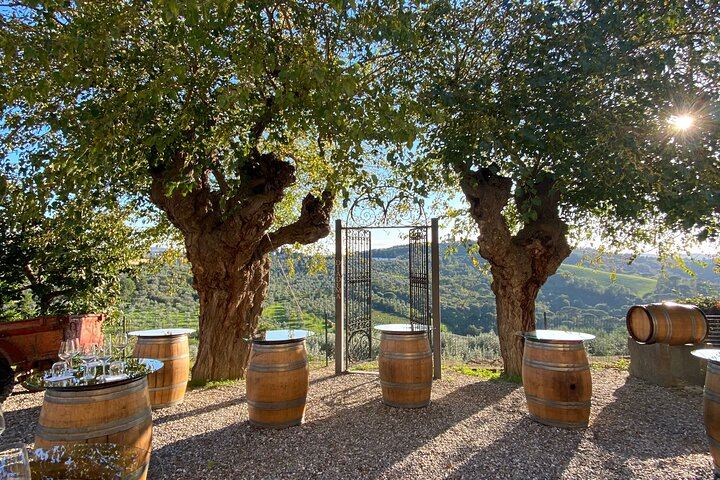 Diadema Super Tuscan Tasting in Impruneta: Winery Tour, Olive Mill and Olive Oil (12/12)