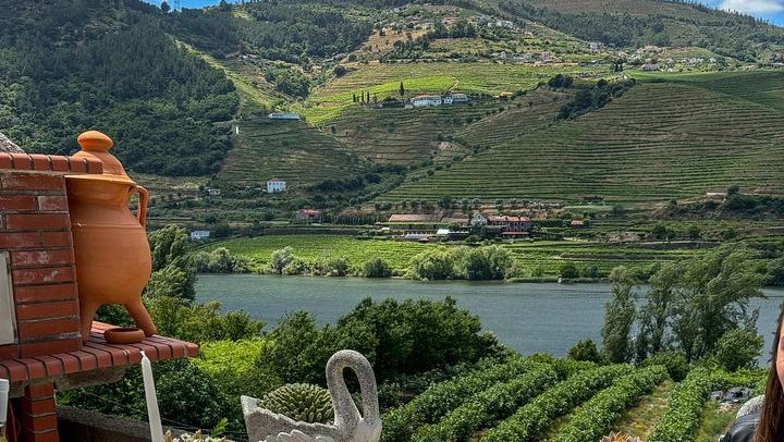 Douro Day with Two Local Brothers: Manor House Lunch, Olive Oil Mill and Port Boat Cruise (4/12)