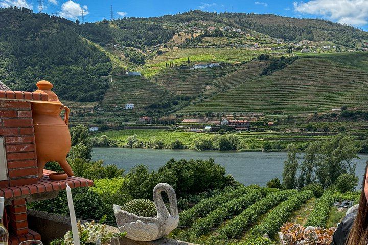 Douro Day with Two Local Brothers: Manor House Lunch, Olive Oil Mill and Port Boat Cruise (4/12)