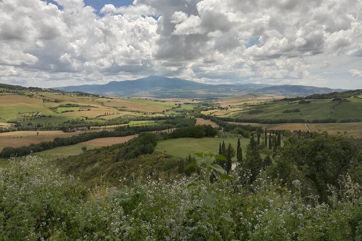 Private Pienza and Montalcino Day Tour: Organic Pecorino Dairy and Brunello Cellar (7/8)