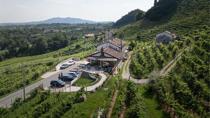 Private Prosecco DOCG Tasting at a Historic Saccol Winery in Valdobbiadene (3/10)