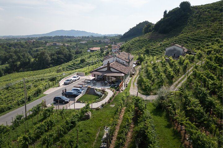 Private Prosecco DOCG Tasting at a Historic Saccol Winery in Valdobbiadene (3/10)