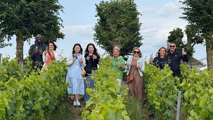 Paris to Champagne Day Trip: Reims Cathedral, Family Estate, 3-Course Lunch and Sabrage (4/12)