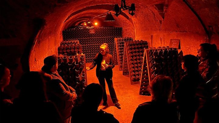 Paris to Champagne Day Trip: Reims Cathedral, Family Estate, 3-Course Lunch and Sabrage (3/12)