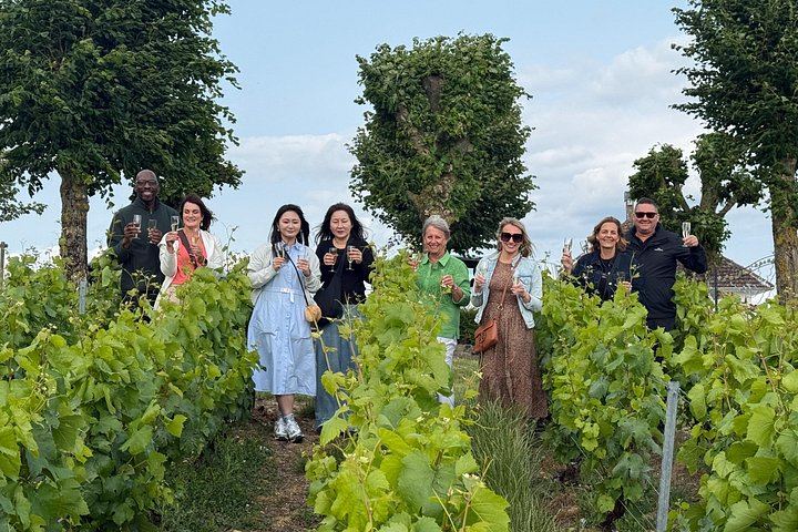 Paris to Champagne Day Trip: Reims Cathedral, Family Estate, 3-Course Lunch and Sabrage (4/12)