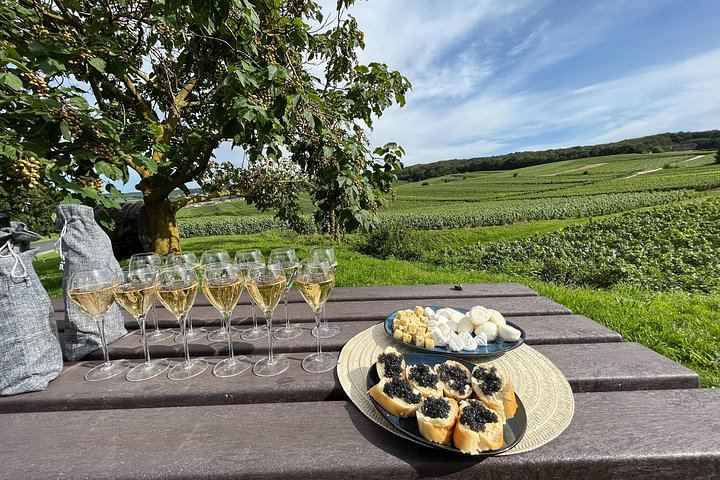 Paris to Champagne Day Trip: Reims Cathedral, Family Estate, 3-Course Lunch and Sabrage (6/12)