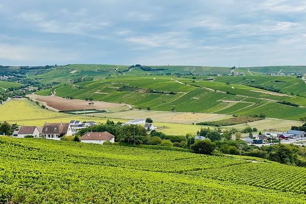 Paris Wine Day Tours Champagne Day Trip: Mumm Cellars, Hautvillers and Three Houses