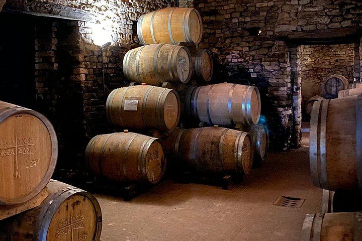 Private Sommelier-Led Langhe Hills Day: Barolo and Barbaresco Wineries, Osteria Lunch (9/12)