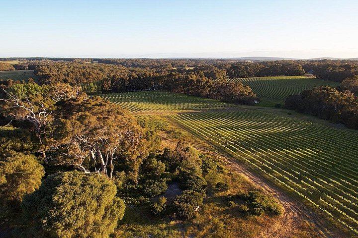 Passel Estate Wine and Chocolate Bonbon Pairing in Margaret River Tasting Room (5/5)