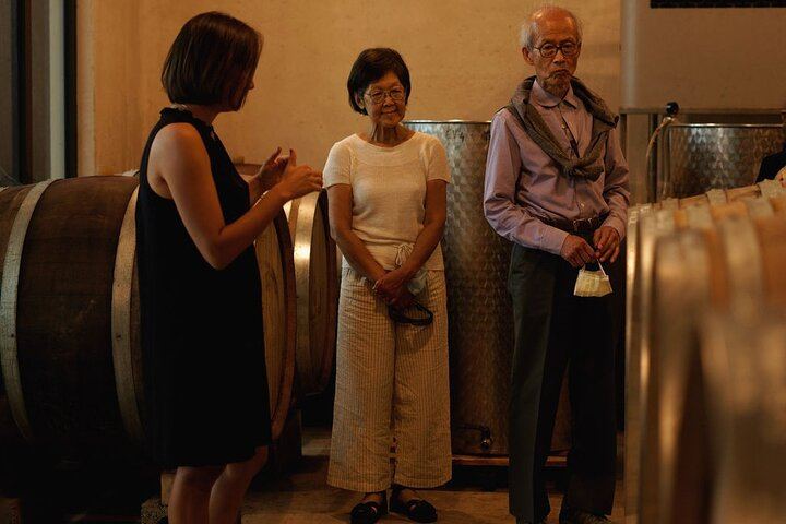Nice Vineyard Visit and Winery Tour with Sommelier, 3 Options from Group to Private (6/12)