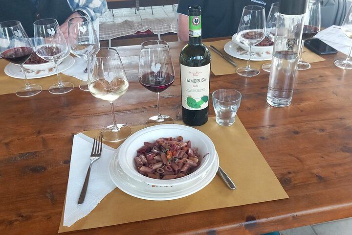 Classic Chianti Villages and Wine Roads by Minivan from Florence, with Light Lunch (9/11)