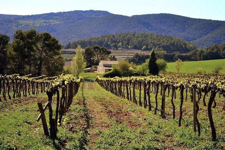 Private 8:30 Montserrat Tour with Three-Course Lunch and Biodynamic Winery Tasting (5/12)