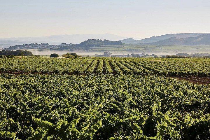 Private 8:30 Montserrat Tour with Three-Course Lunch and Biodynamic Winery Tasting (8/12)