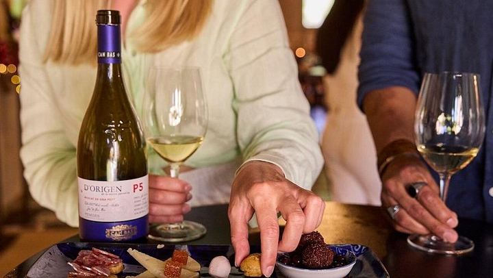 Penedès Two-Winery Day from Barcelona: Cava Cellars, 4WD Vineyard Drive and Wine Tasting (3/12)