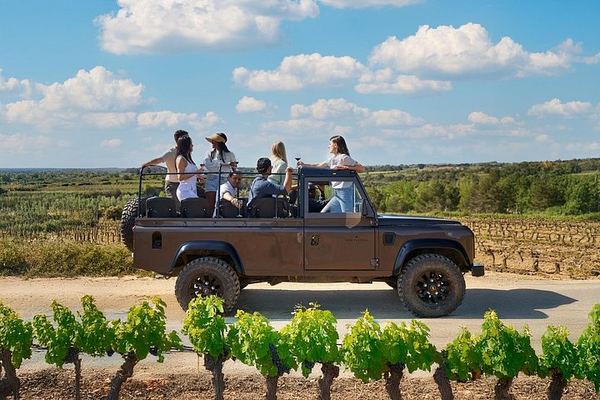 Penedès Two-Winery Day from Barcelona: Cava Cellars, 4WD Vineyard Drive and Wine Tasting