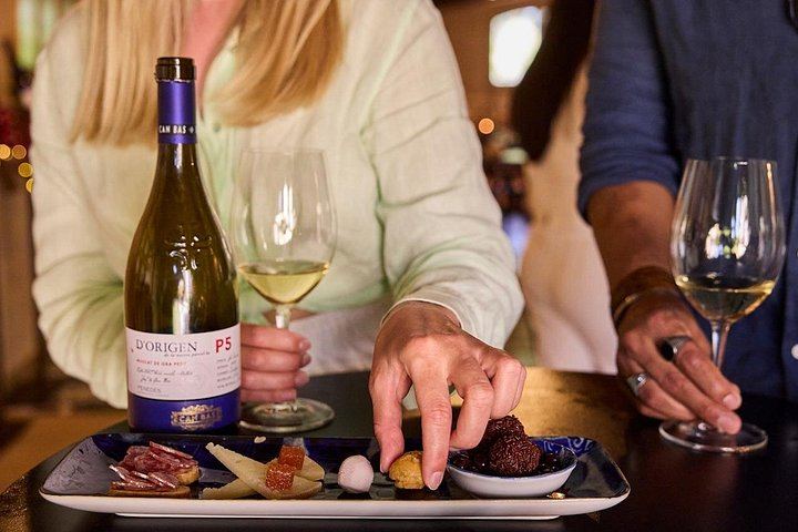 Penedès Two-Winery Day from Barcelona: Cava Cellars, 4WD Vineyard Drive and Wine Tasting (3/12)