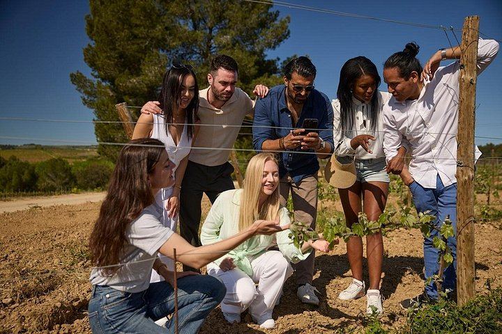 Penedès Two-Winery Day from Barcelona: Cava Cellars, 4WD Vineyard Drive and Wine Tasting (4/12)