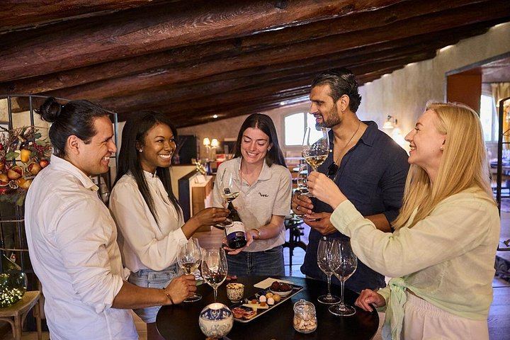 Penedès Two-Winery Day from Barcelona: Cava Cellars, 4WD Vineyard Drive and Wine Tasting (2/12)