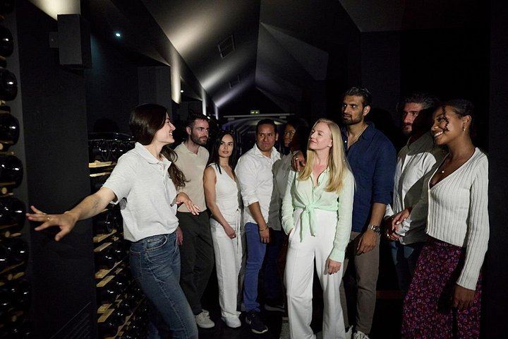 Penedès Two-Winery Day from Barcelona: Cava Cellars, 4WD Vineyard Drive and Wine Tasting (10/12)