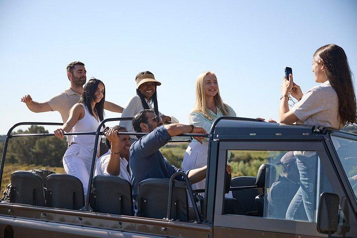 Penedès Two-Winery Day from Barcelona: Cava Cellars, 4WD Vineyard Drive and Wine Tasting (11/12)